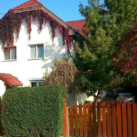 Viola Vendeghaz Apartment Kehidakustany Bagian luar foto