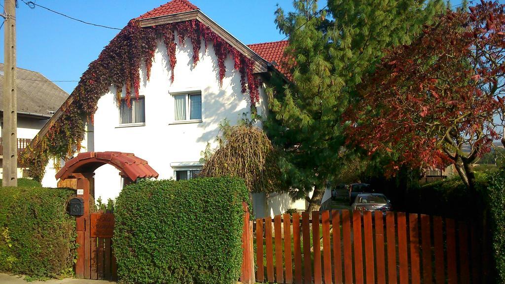 Viola Vendeghaz Apartment Kehidakustany Bagian luar foto