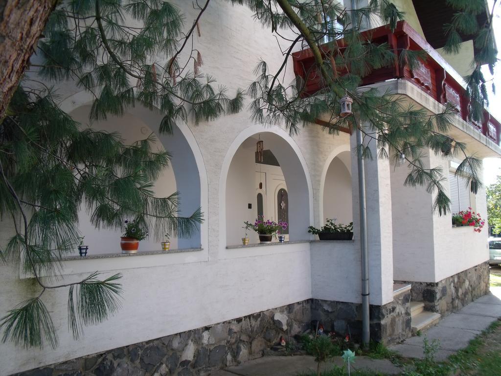 Viola Vendeghaz Apartment Kehidakustany Bagian luar foto