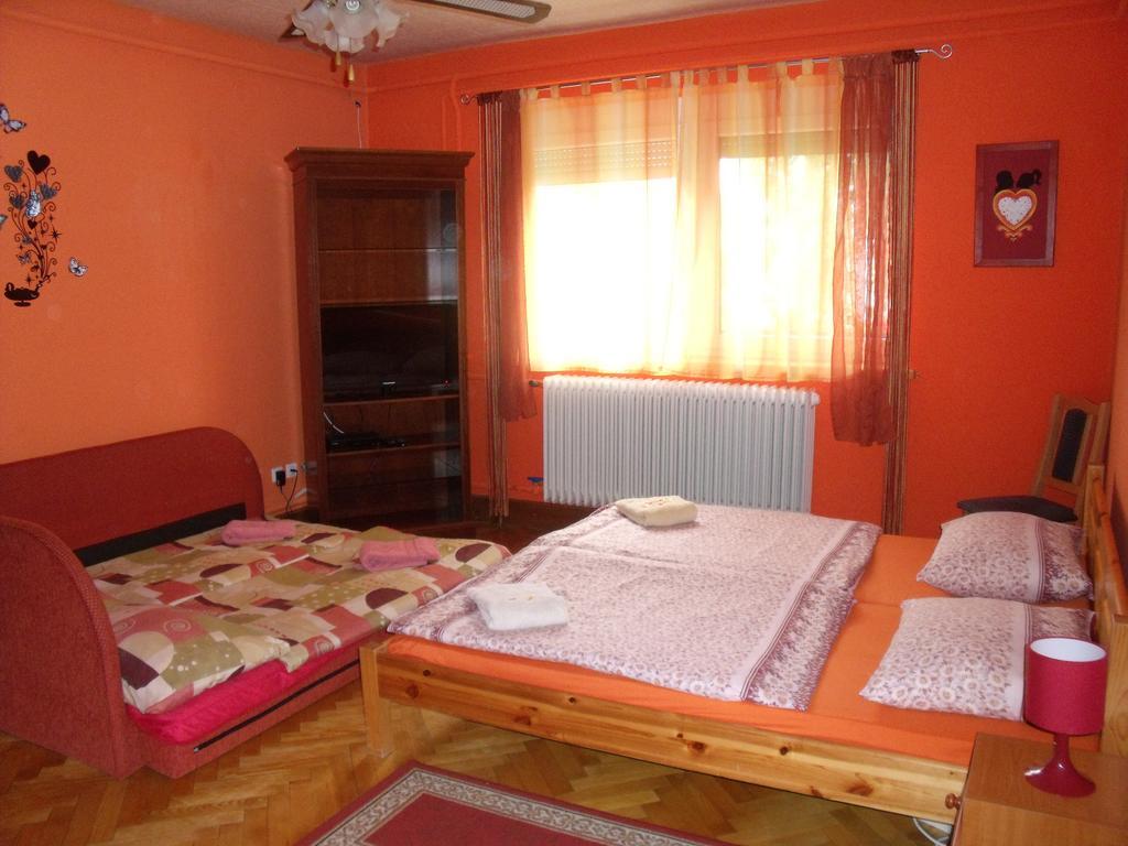 Viola Vendeghaz Apartment Kehidakustany Bagian luar foto
