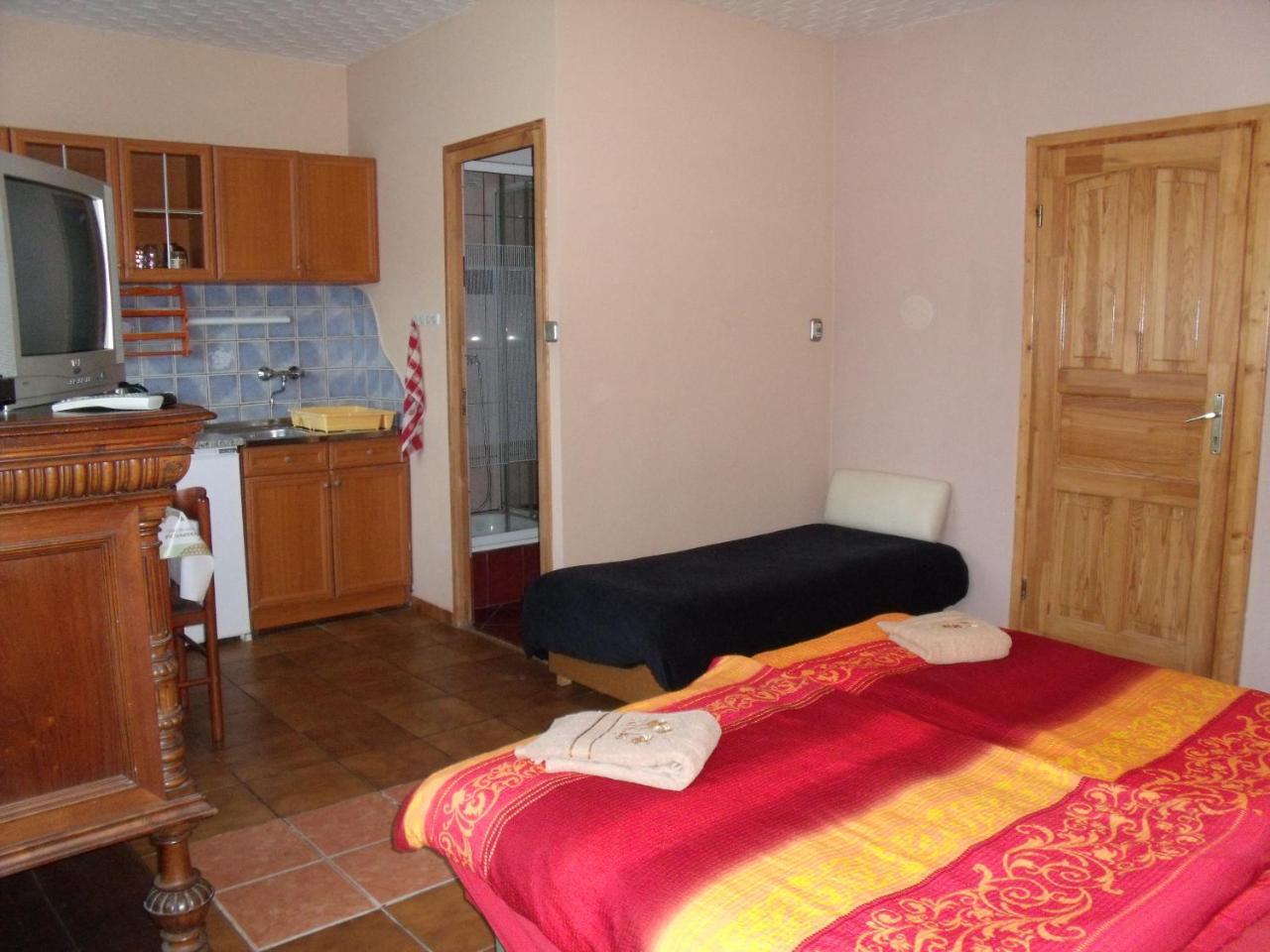 Viola Vendeghaz Apartment Kehidakustany Bagian luar foto
